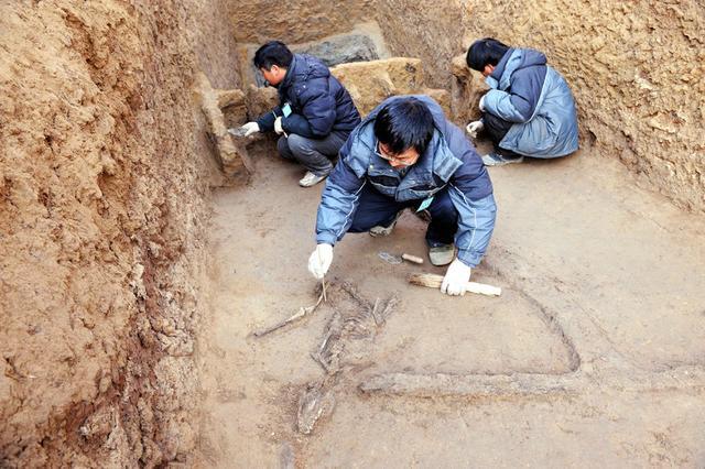 国家文物局考古研究中心招聘3人，正局级事业单位，朝阳区！