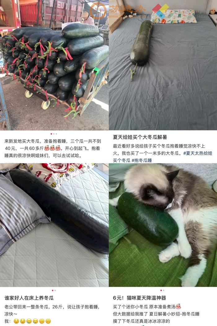 高温持续多地破纪录，专家建议特定人群抱冬瓜降温