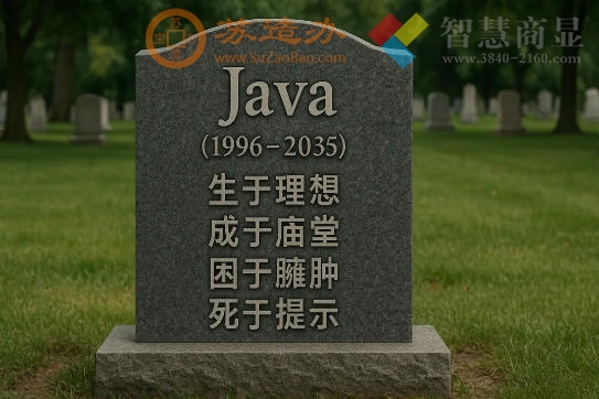 Java，1996年生，2035年卒